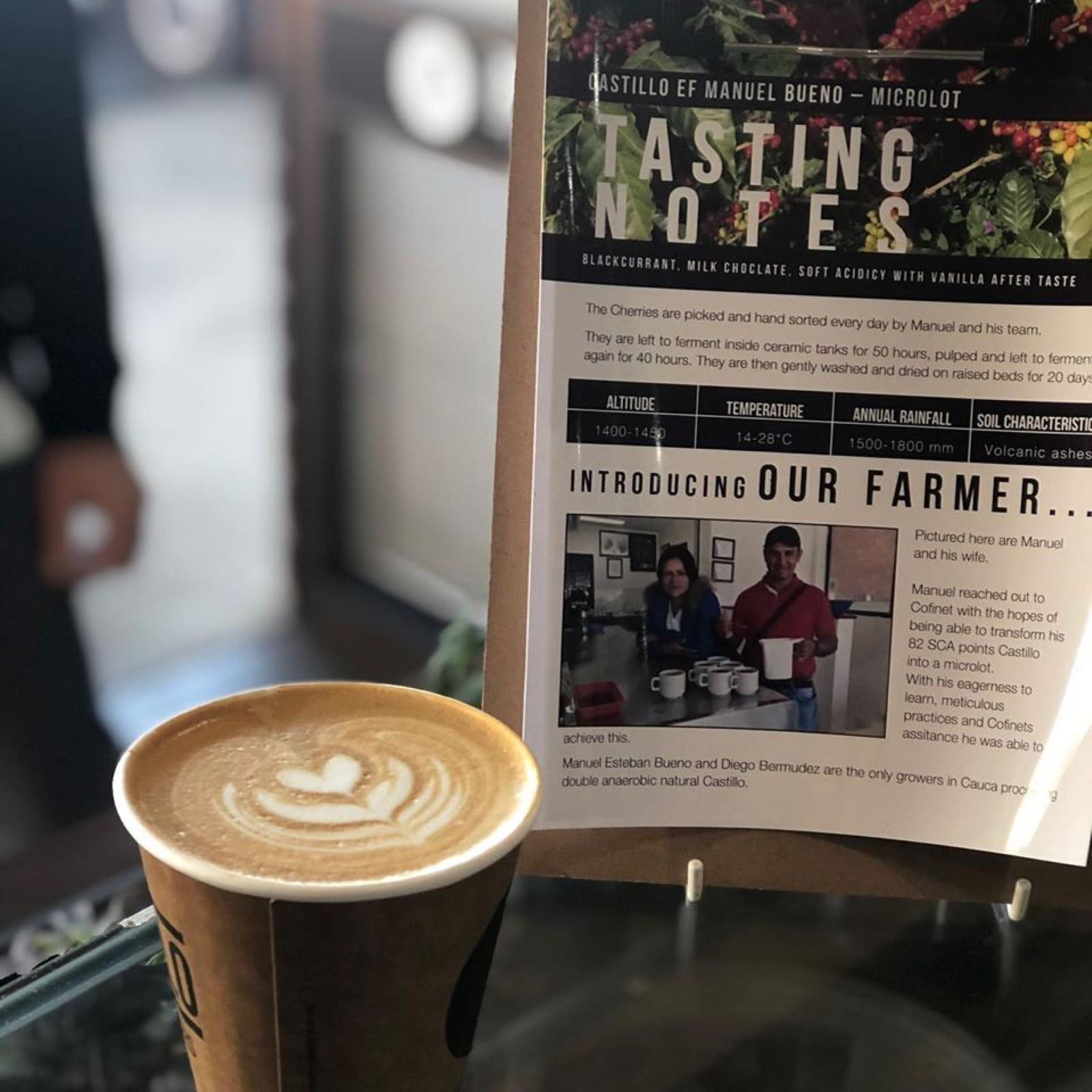 Visit Great Ocean Road Piccolo Coffee Roasters Visit Great Ocean Road