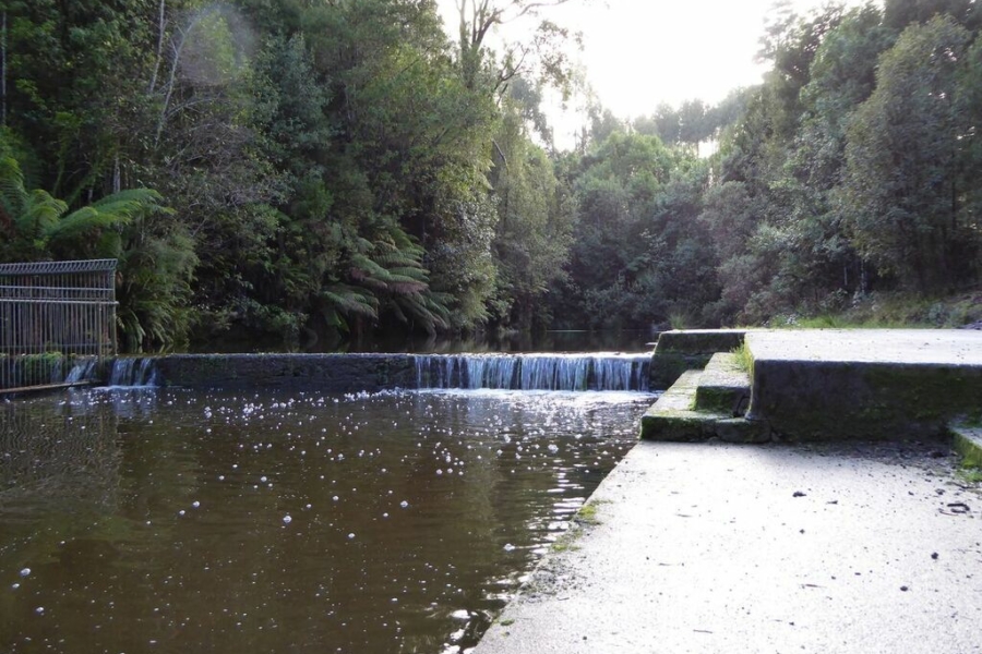 Visit Great Ocean Road Lavers Hill Archives Visit Great Ocean Road