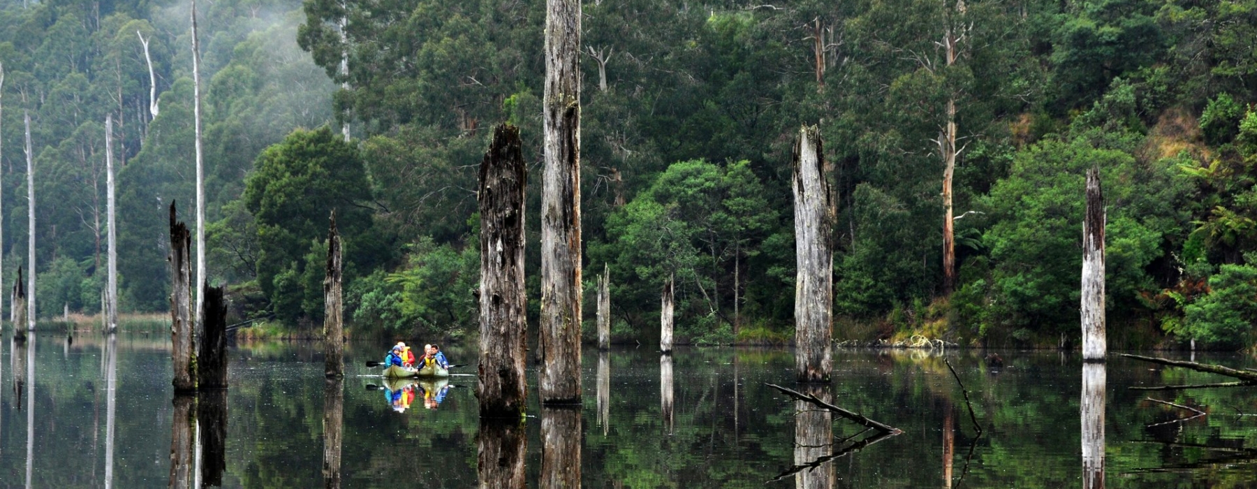 Visit Great Ocean Road Lake Elizabeth, Otways Visit Great Ocean Road